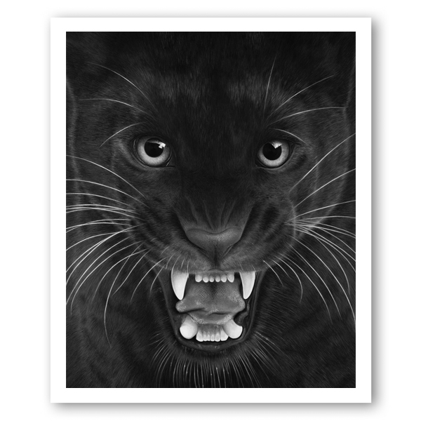 Hyperrealism drawing of a jaguar
