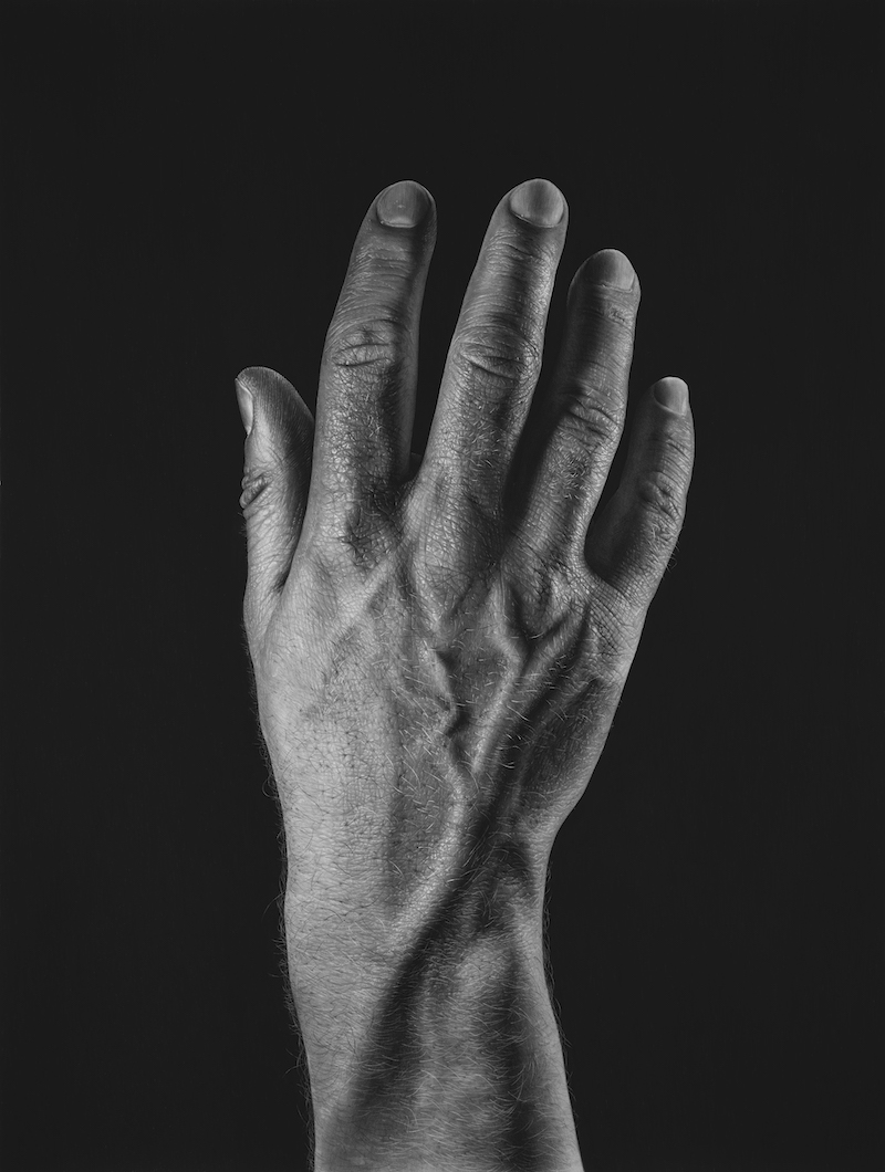 Hyperreal pencil drawing by Emma Towers-Evans, eteportraits