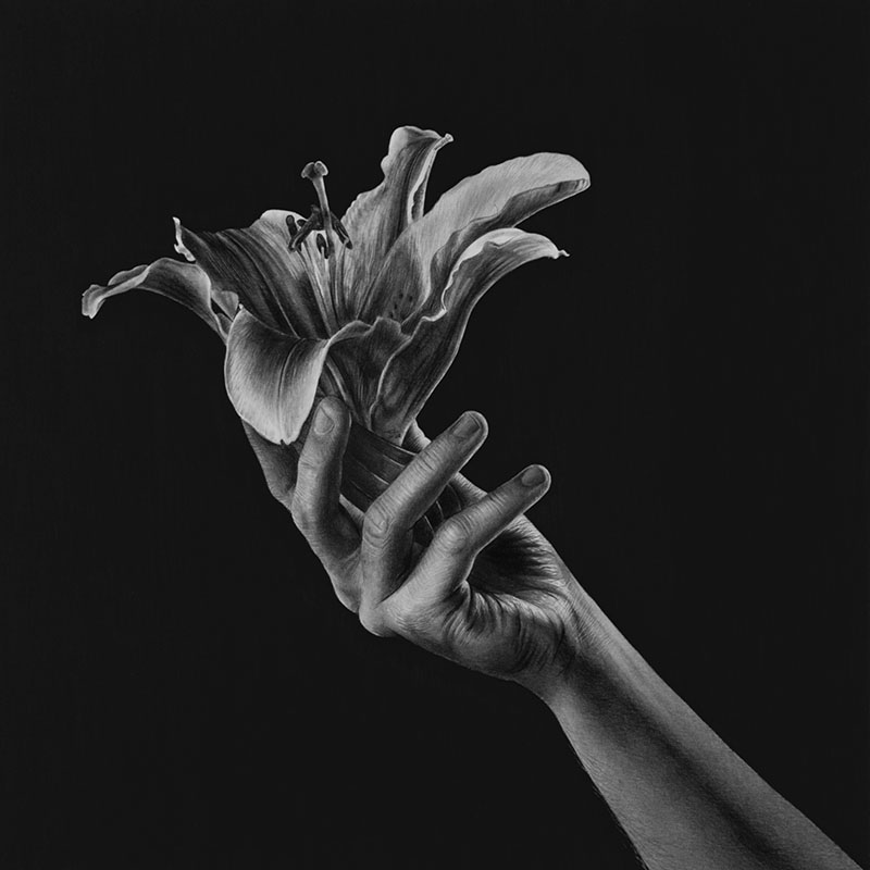 A drawing of a hand with a lily flower by Emma Towers-Evans, from her 30 series - Day 28: DENIAL