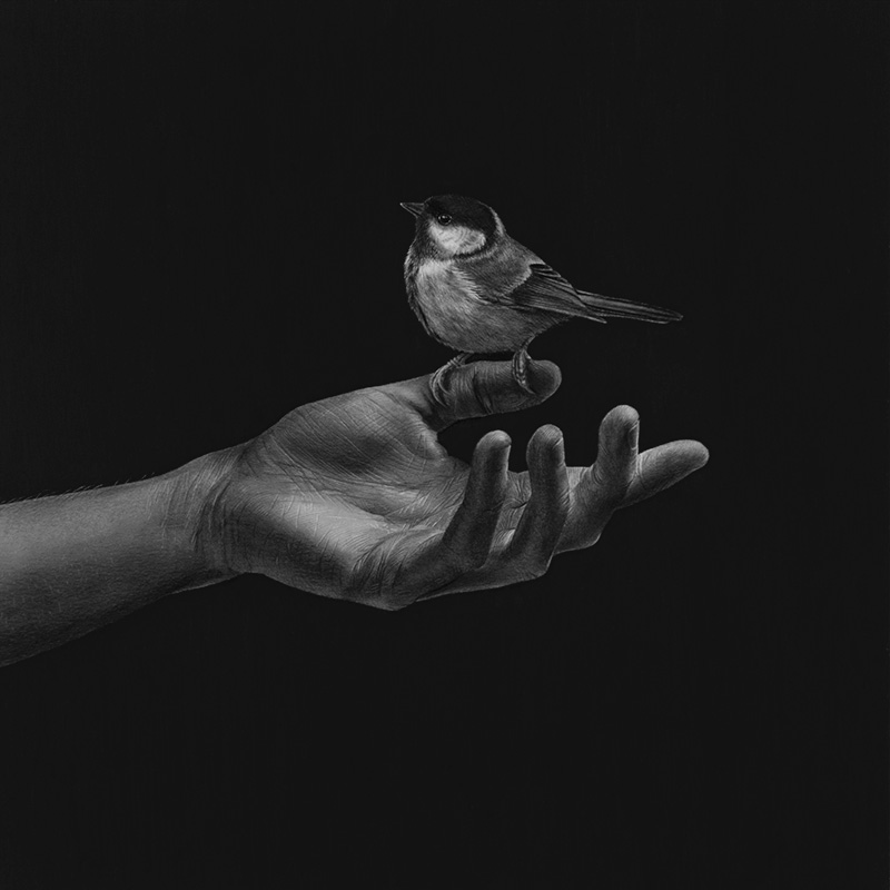 A drawing of a hand and bird by Emma Towers-Evans, from her 30 series - Day 21: TRUST